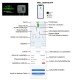 AC Wallbox "Home" 11kW 6.5m Type 2 Cable Bluetooth + App + RFID + ModBus TCP