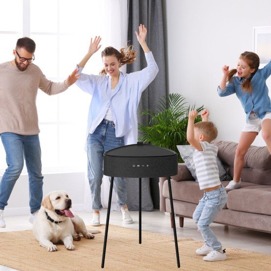 Wireless Speaker Mesu, Table Design, TWS black Exceptional Sound Experience, Wireless Charging