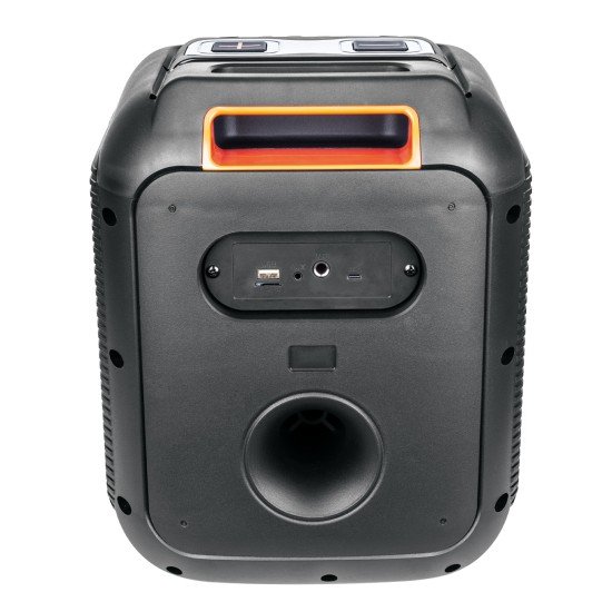 Wireless party speaker 60W, microphone & LED light Karaoke, TWS, FM radio, USB & card reader