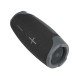 Fontastic wireless speaker "Motus" TWS, black Powerful sound, 20W bass + 15W twetter, DSP, IPX7