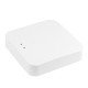 WLAN-Gateway for Smart Thermostatic Radiator Valve Including Suitable AC Charger, Controllable Via AP