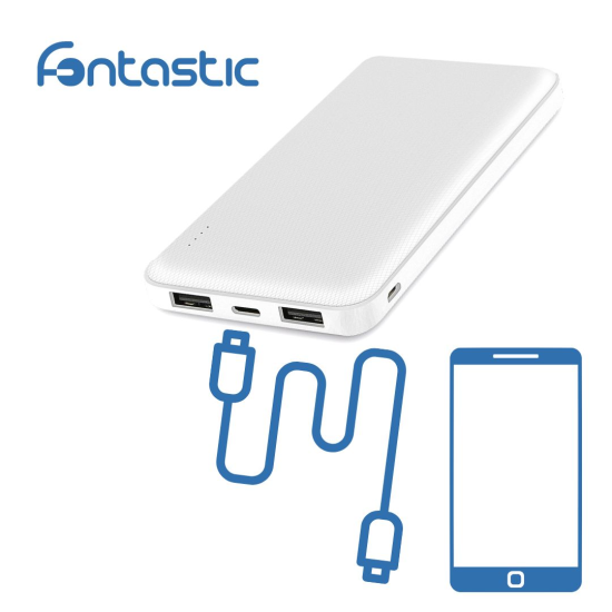 Power Bank Renz10 10.000mAh, 2x USB-A & 1x Typ-C Ladezustandsanzeige, In & Output 5V / 2A, wei&szlig;