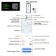 AC Wallbox Home 11kW 6.5m Typ 2 Kabel WiFi +APP + RFID +WLAN + ModBus TCP