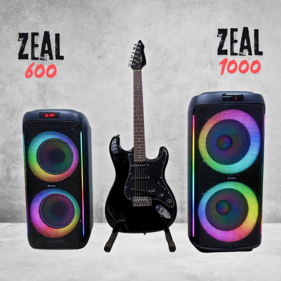 Fontastic Drahtloser Party-Lautsprecher Zeal 600W Mikrofon & LED Lichtshow, TWS, EQ, Kartenleser, sw