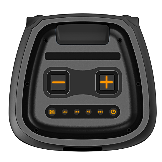 Fontastic Drahtloser Party-Lautsprecher Zeal 1000W Kabelloses Mikrofon, Lichtshow, TWS, EQ, Bass Boos